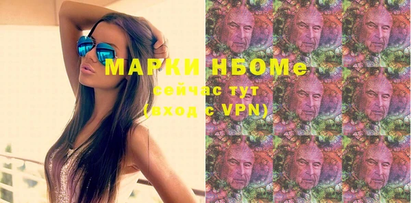 сатива Дмитровск