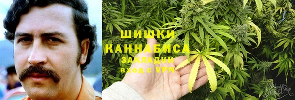сатива Дмитровск