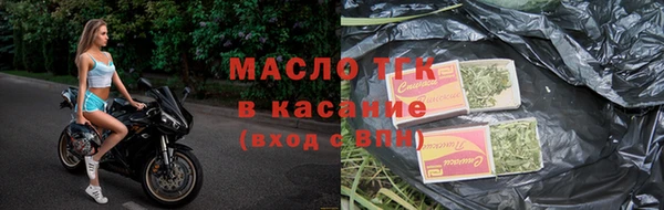 сатива Дмитровск
