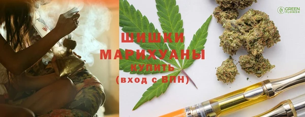 сатива Дмитровск